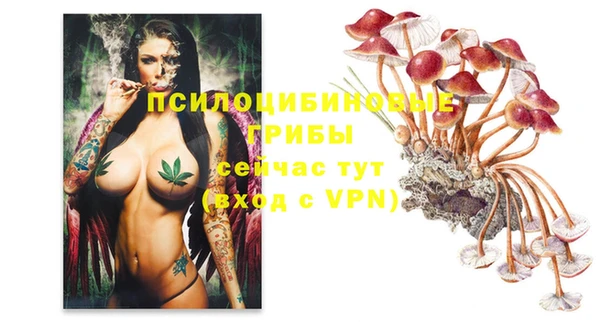 2c-b Алзамай