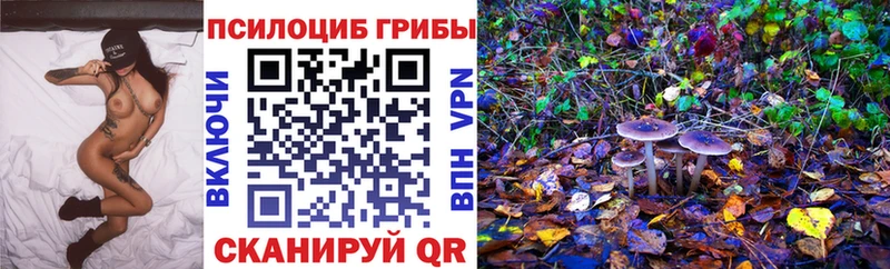 Псилоцибиновые грибы Cubensis  МЕГА ссылки  Тамбов 